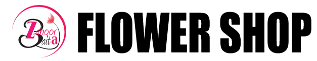 cropped cropped logo.png