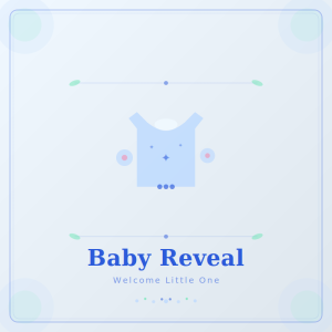 Baby Reveval