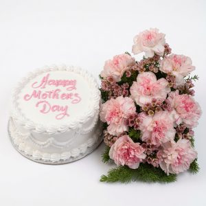 mother's day cake & carnation combo